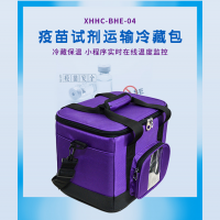 【冰皇】低温药剂试剂保温冷藏包