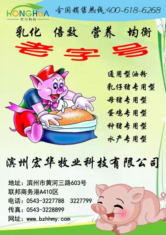金乳能母猪专用乳化油粉