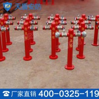 地上式泡沫消防栓 泡沫灭火系统 消防栓工作原理