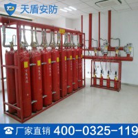 七氟丙烷灭火系统 高效能灭火设备 支持定做