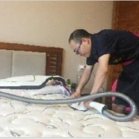 广州市黄埔区长洲室内除螨虫潮湿螨虫滋生危害高效除螨公司
