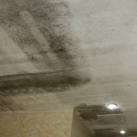 广州市天河区体育西墙壁发霉处理潮湿长霉菌如何除霉斑