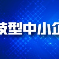 滨州企业申请科技型中小企业的标准