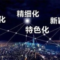 关于市级专精特新企业申报有关问题说明