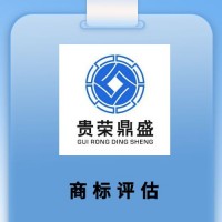 成都市品牌价值评估商标评估专利实缴评估软著出资评估
