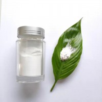 九朋抗静电粉导电材料AZO30nm氧化锌粉末CY-J30L