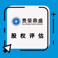 山东临沂市公司价值评估股东全部权益价值评估股权评估