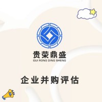 山东省菏泽市企业股权价值评估股东价值评估企业负债评估