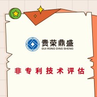 湖北省武汉市专利评估公司无形资产怎么评估电影版权评估