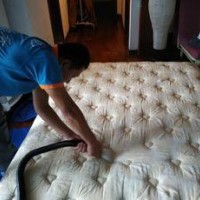 广州番禺大道北螨虫清理公司，尘螨高效清理，床垫清洗除螨