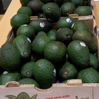 墨西哥牛油果进口多长时间