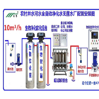 地下水河水饮用水处理设备农村水厂全自动自来水生产设备