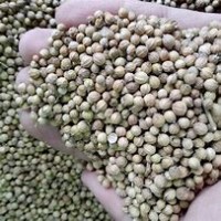 代理香菜子进口清关所需资料