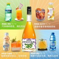 青梅果酒加工厂贴牌加工 果酒oem源头山东百未草工厂