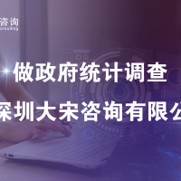 大宋咨询（深圳政府第三方评估）关于社情民意调查主题和领域