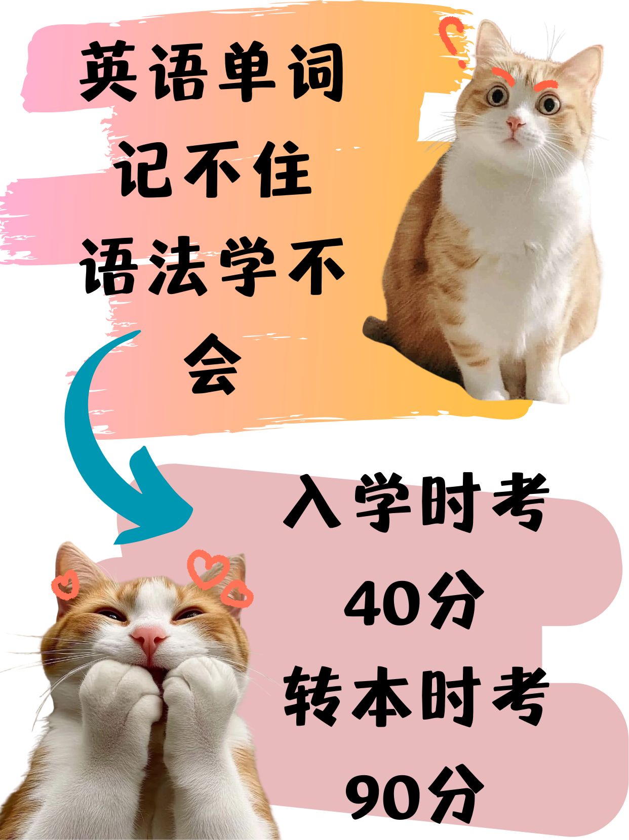 备考五年制专转本不靠谱的培训辅导班，比自学可怕百倍