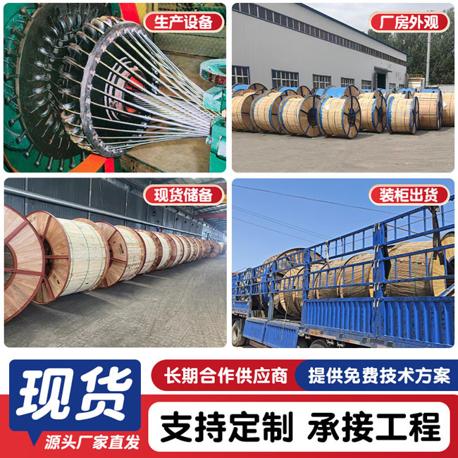 农村电网用铝包钢芯铝绞线河北生产厂家