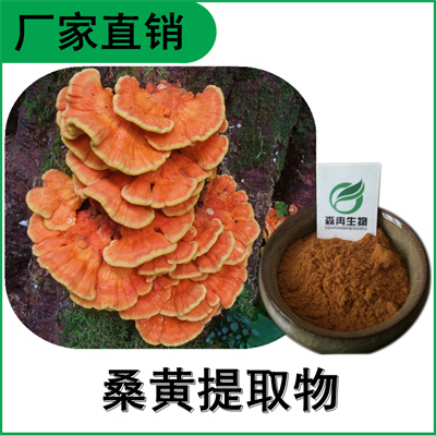 森冉生物 桑黄提取物 桑黄多糖 桑耳提取物