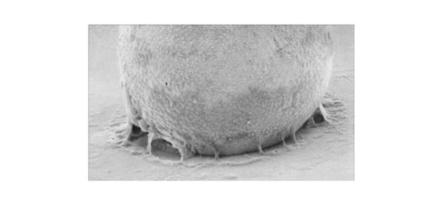 电子助焊剂的详细分类和电路板助焊剂该如何清洗介绍