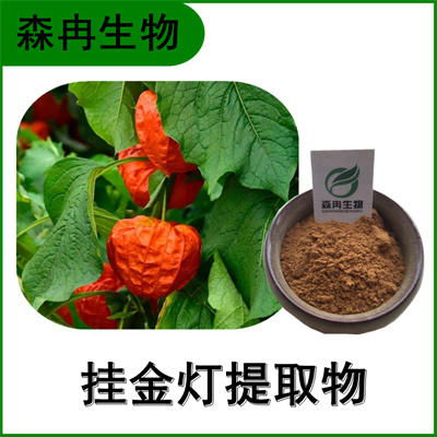 森冉生物 挂金灯提取物 锦灯笼提取物 比例提取原料粉
