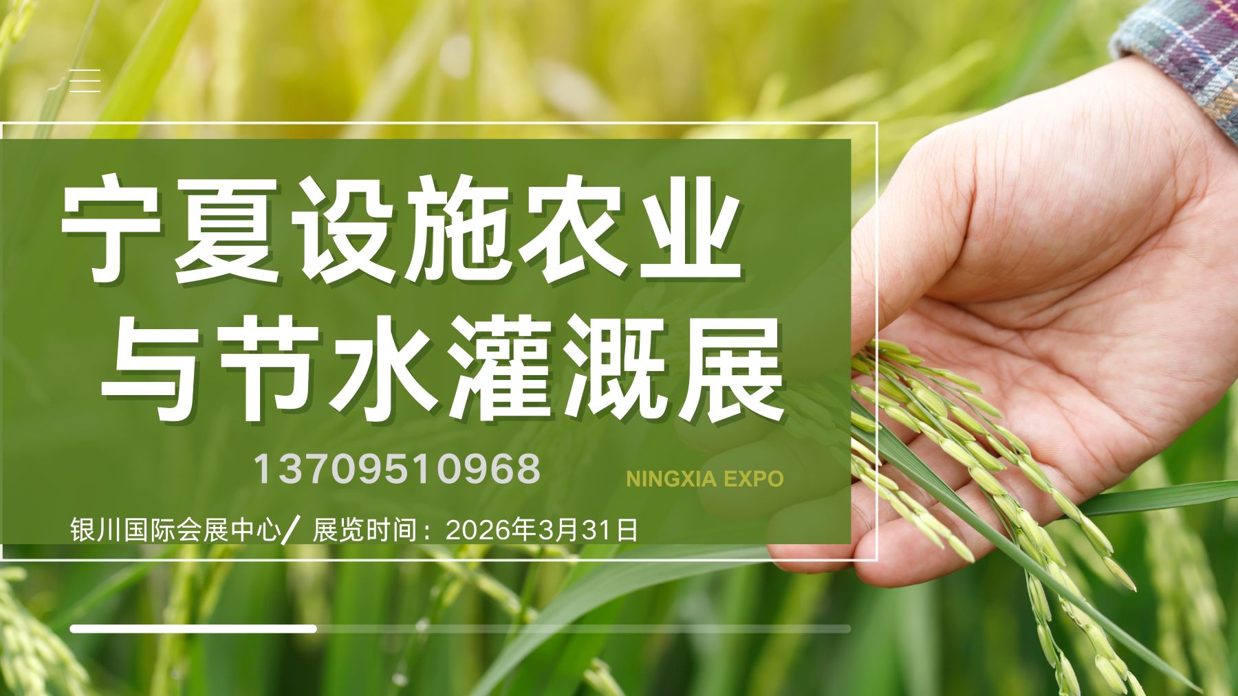 从“四水四定”到智慧农业，宁夏设施农业与节水灌溉迎来集中展示