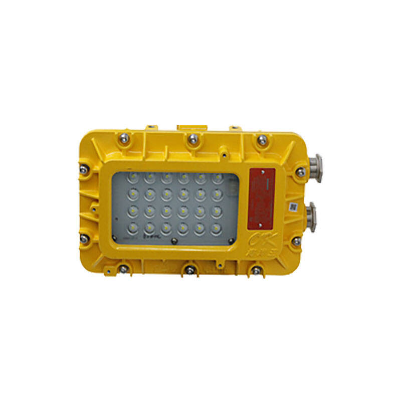 BFC8128 LED防爆泛光灯