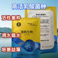 乳酸菌浓缩粉精养塘平衡菌相水产益生菌调水剂