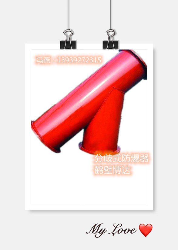 分岐式防爆器靠谱设备靠谱厂家